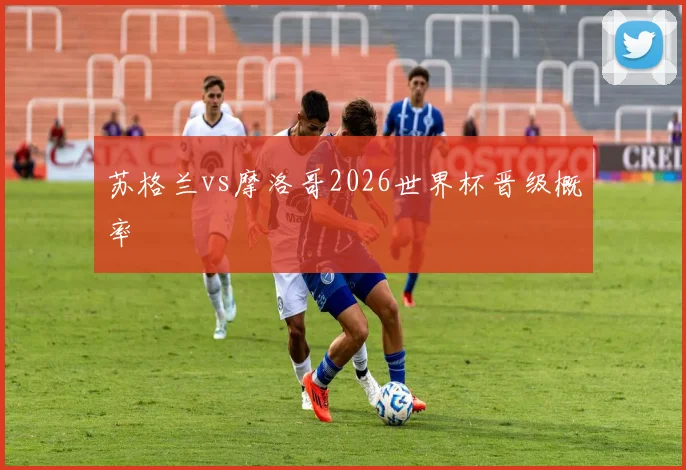 苏格兰vs摩洛哥2026世界杯晋级概率