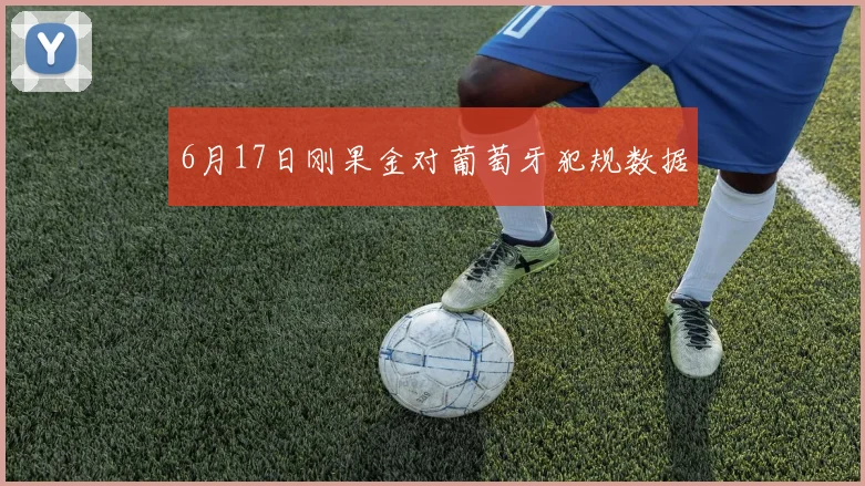 6月17日刚果金对葡萄牙犯规数据