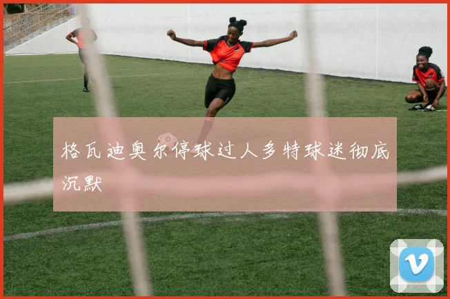 格瓦迪奥尔停球过人多特球迷彻底沉默